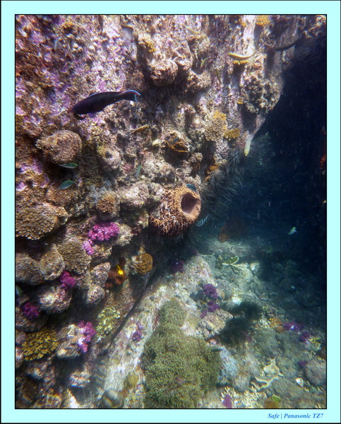 2009   07   Perhentians 020